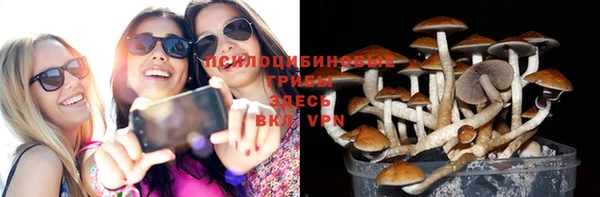 МДМА Новозыбков