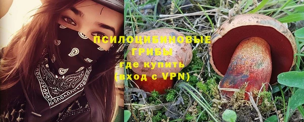 дмт Нягань