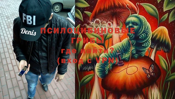 спайс Новодвинск