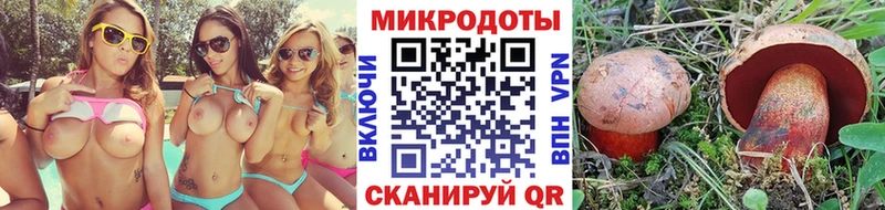 Галлюциногенные грибы прущие грибы  Купить закладки  Дрезна 