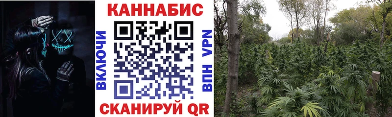 Конопля AK-47 Купить Дрезна